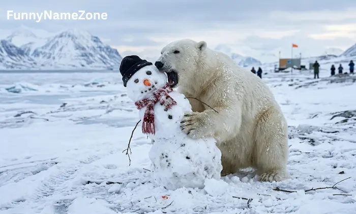Polar Bear Names Girl